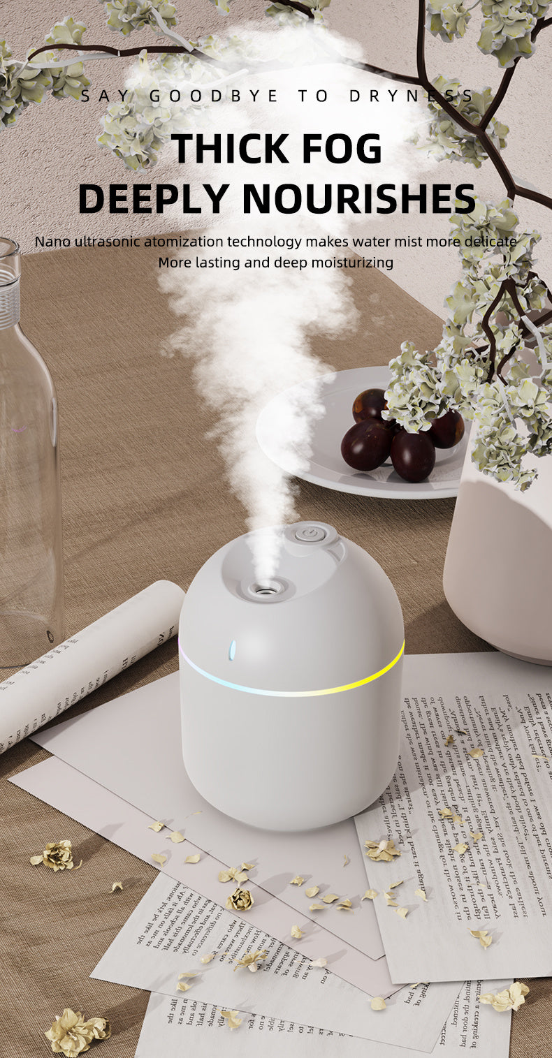 Mini Humidifier