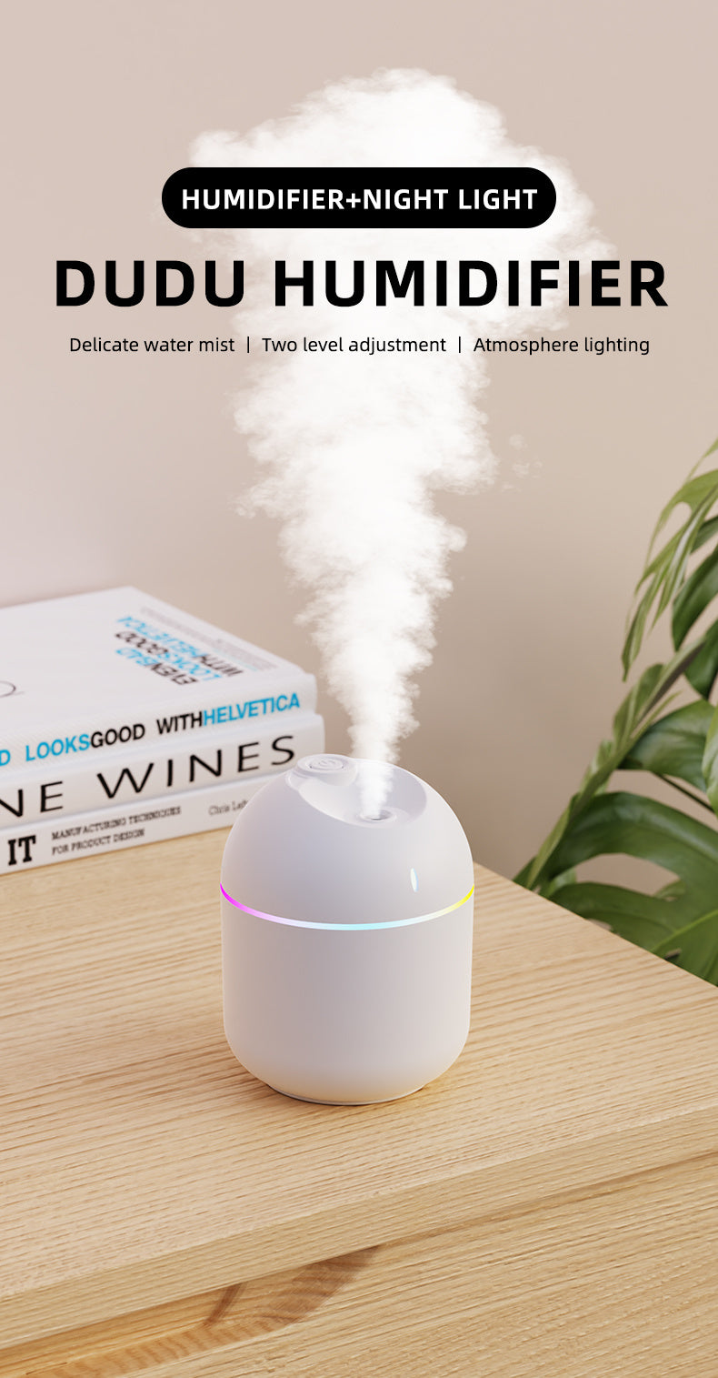 Mini Humidifier