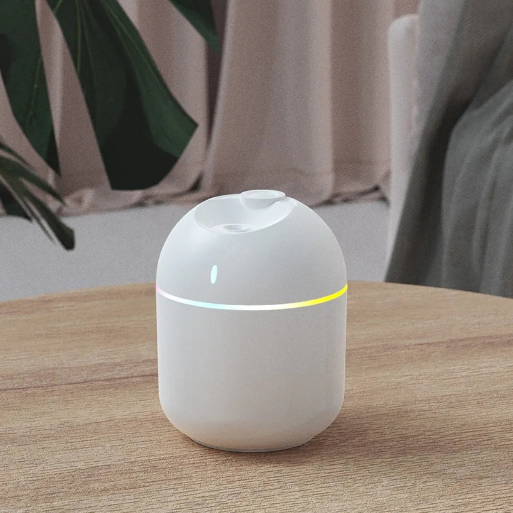 Mini Humidifier
