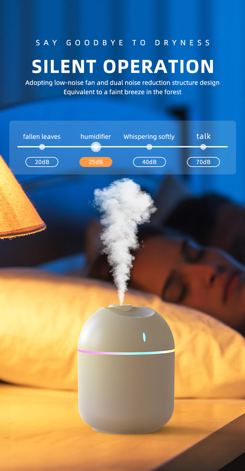 Mini Humidifier